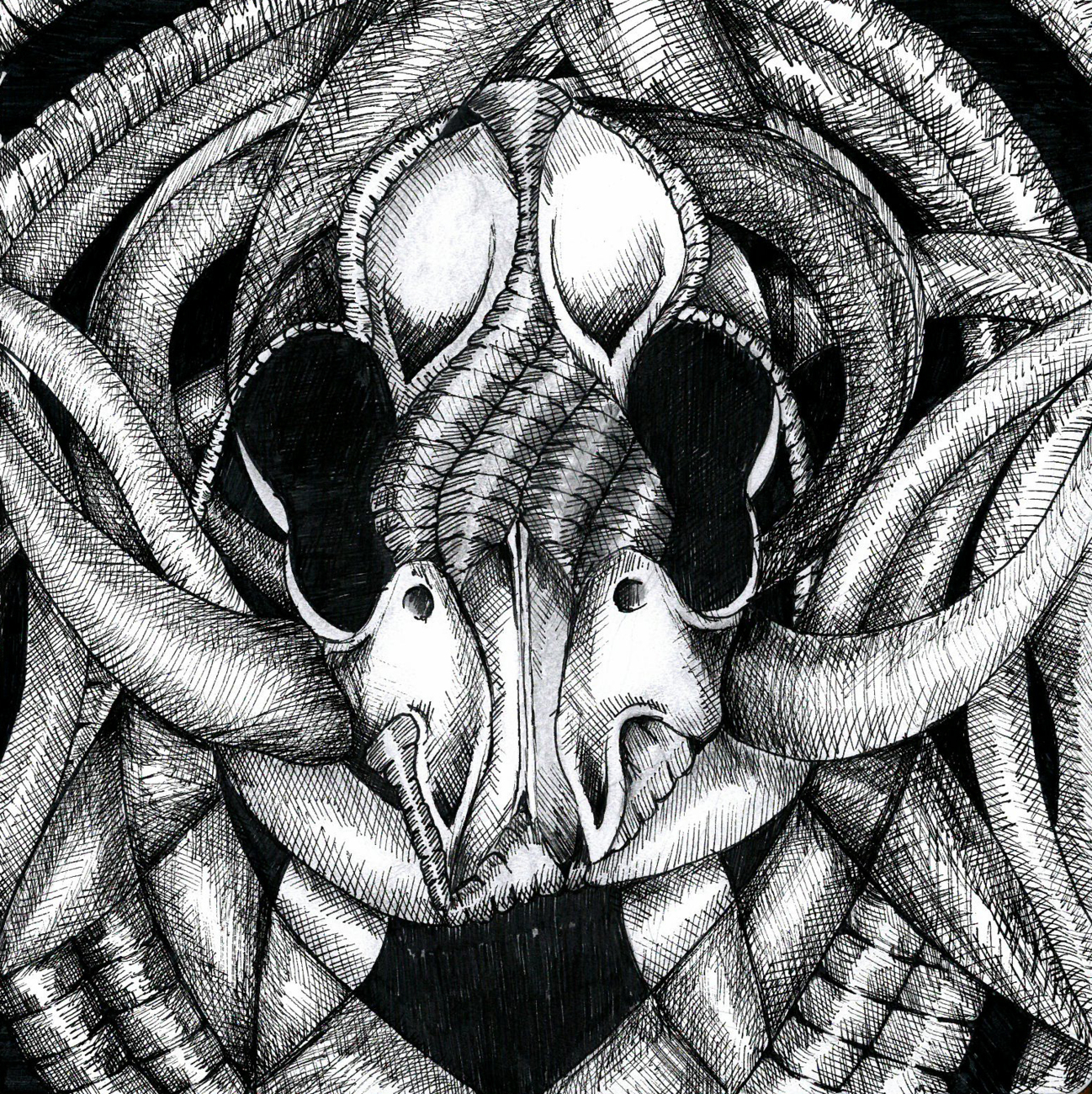 Zuzana Fajkusová - cycles